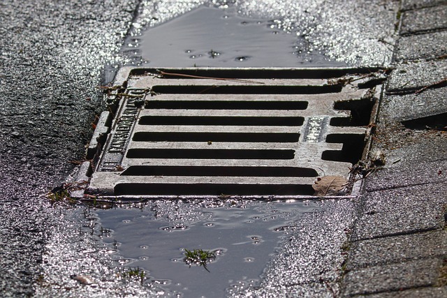 A storm sewer in a puddle